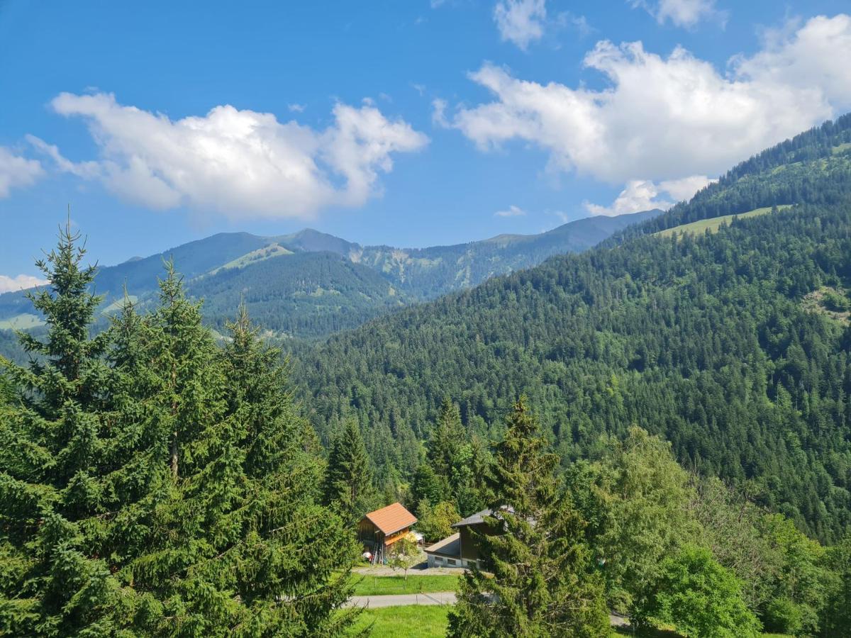 Appartement Melinda Ebnit Dornbirn Ngoại thất bức ảnh